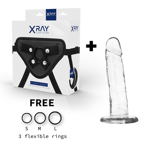 XRAY ARNS + DILDO TRANSPARENTE 18CM X 4CM